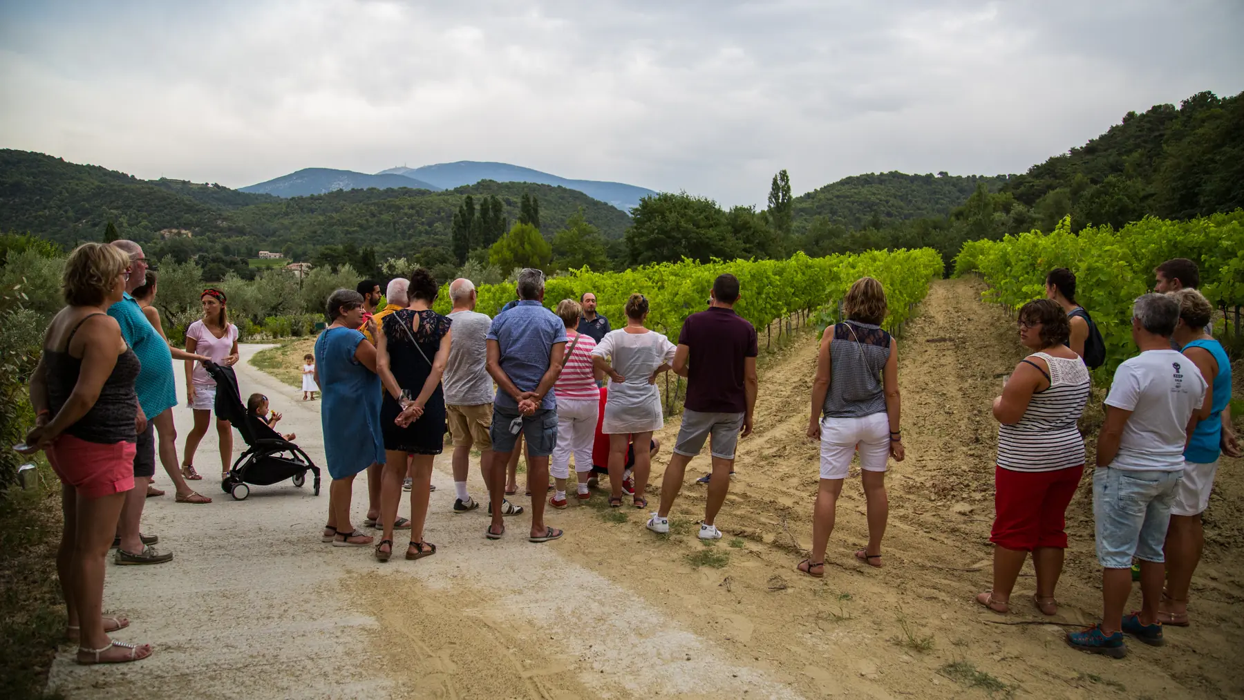 Discovery workshop and tasting at Domaine Tales