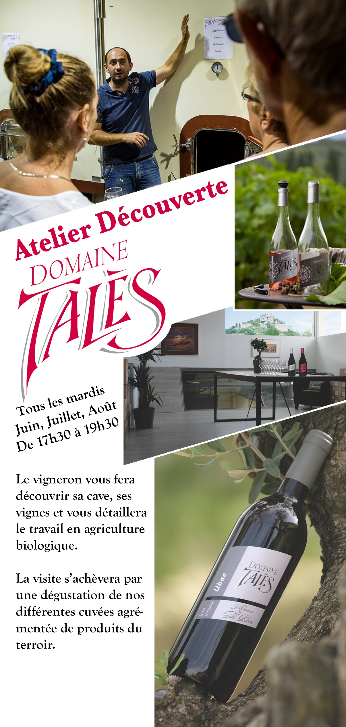 Atelier decouverte au domaine - degustation