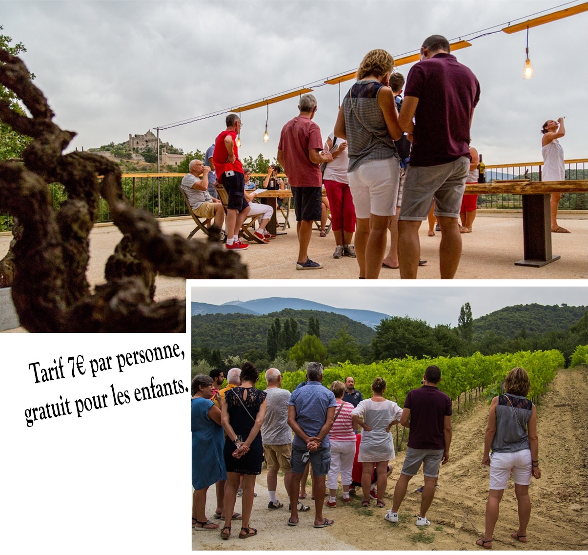 Atelier decouverte au domaine - accueil