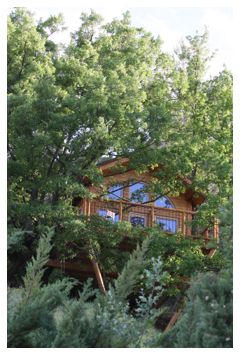 Cabane dans les arbres - vue 2